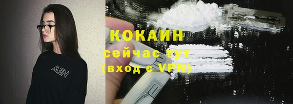 PSILOCYBIN Вяземский