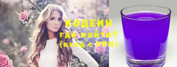 PSILOCYBIN Вяземский