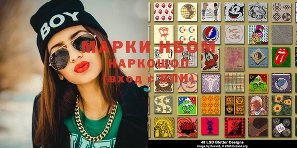 PSILOCYBIN Вяземский
