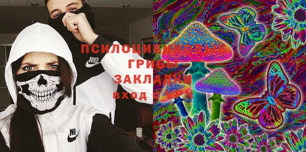 прущие крисы Вязники