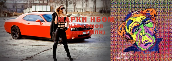 PSILOCYBIN Вяземский