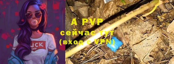 PSILOCYBIN Вяземский