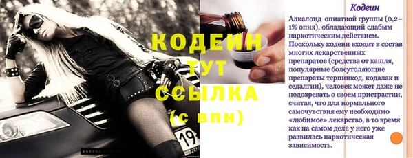 PSILOCYBIN Вяземский