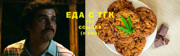 PSILOCYBIN Вяземский