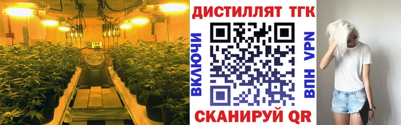 мега ONION  Ивантеевка  Дистиллят ТГК THC oil 