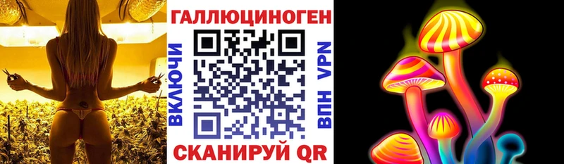 Псилоцибиновые грибы GOLDEN TEACHER  Ивантеевка 