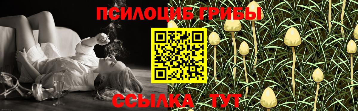 Галлюциногенные грибы Psilocybine cubensis  Вход с VPN  Ивантеевка 