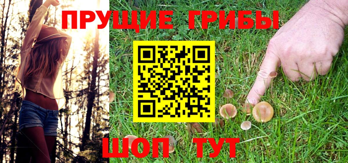 Псилоцибиновые грибы Cubensis Ивантеевка
